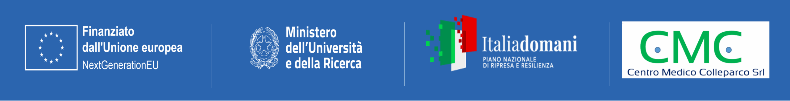 Banner istituzionale PNRR